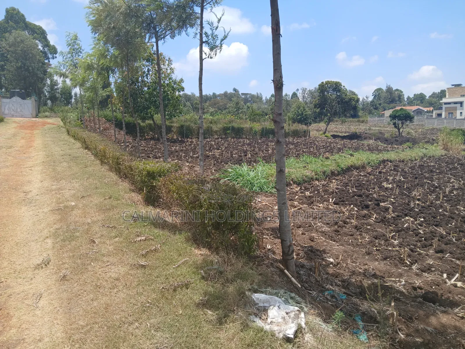 Quick Sale! 100by100 (1/4 Acre) Plot in Olkeri,Ngong Gated-Like Estate