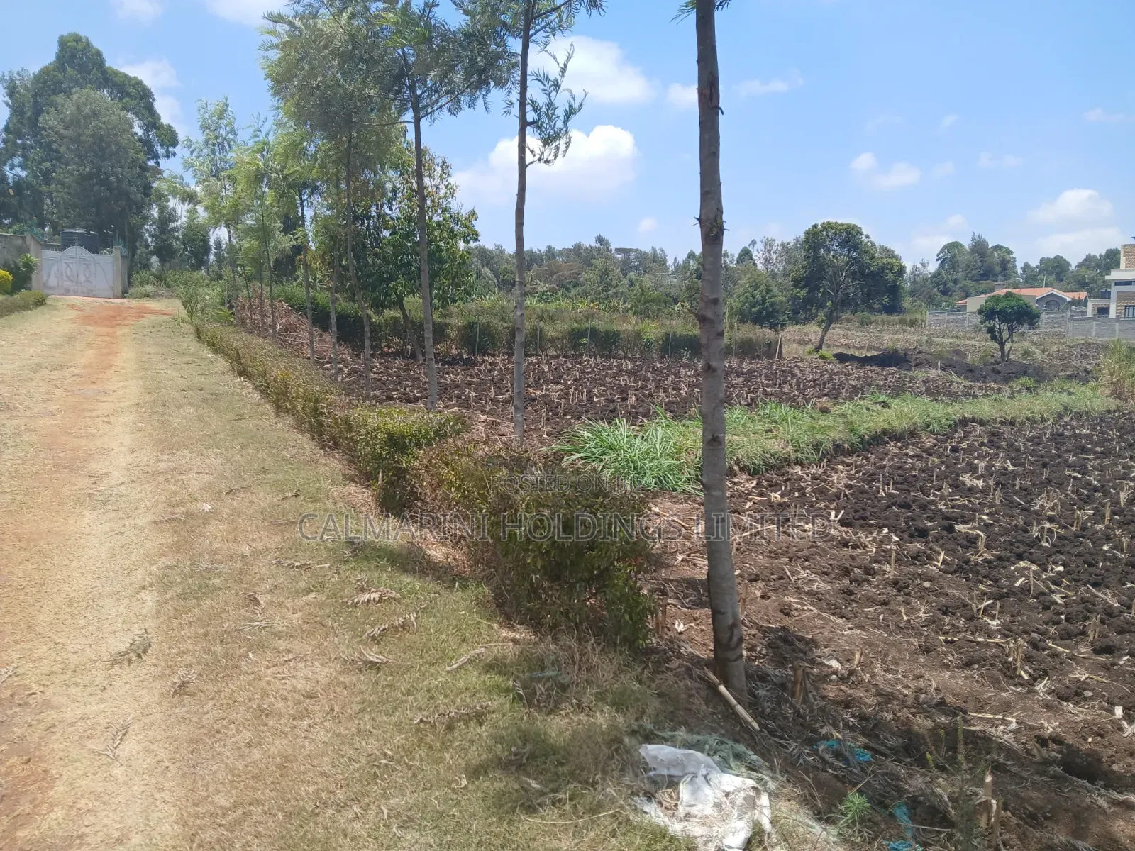 Quick Sale! 100by100 (1/4 Acre) Plot in Olkeri,Ngong Gated-Like Estate