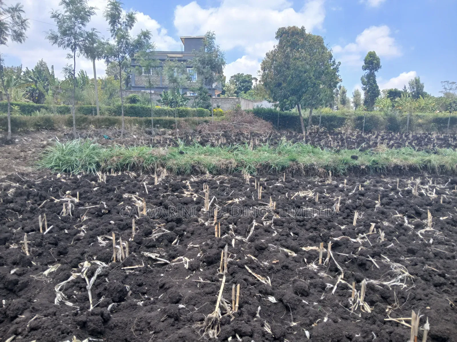 Quick Sale! 100by100 (1/4 Acre) Plot in Olkeri,Ngong Gated-Like Estate