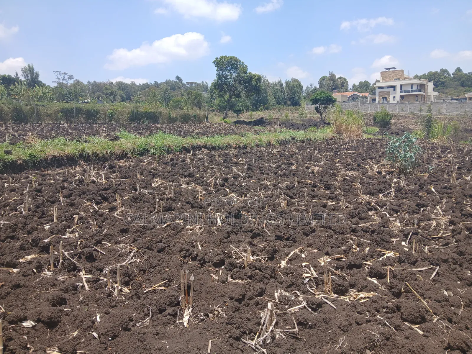 Quick Sale! 100by100 (1/4 Acre) Plot in Olkeri,Ngong Gated-Like Estate