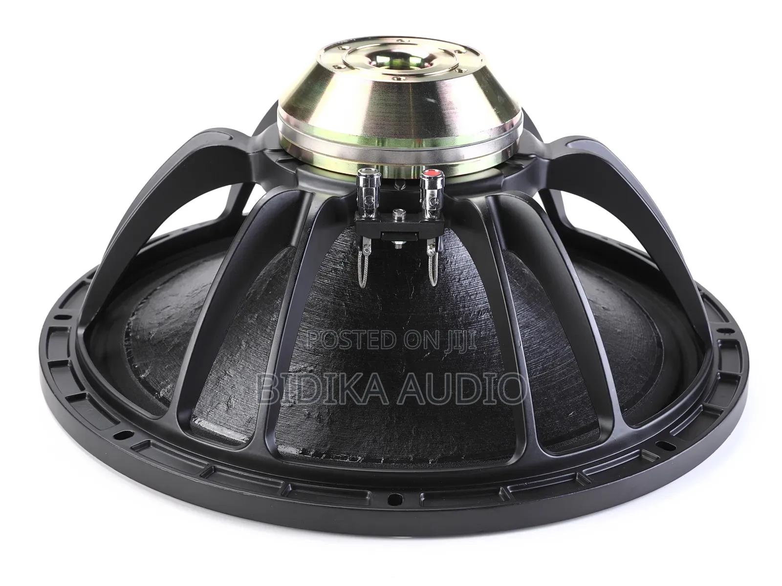 V-Nice Black 15-Inch Neodymium Magnet Woofer 800W Speaker