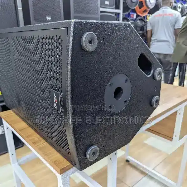 Thunder Sound TS 112 Speaker
