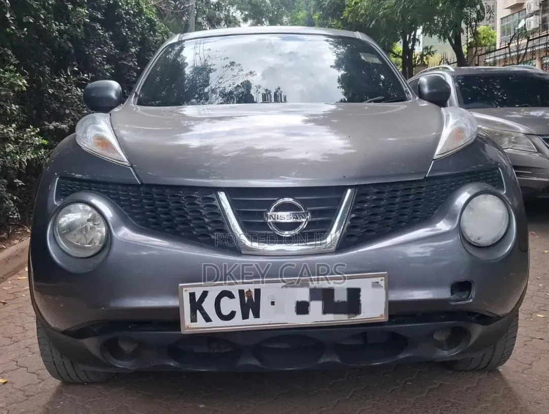 Nissan Juke 2012 Gray