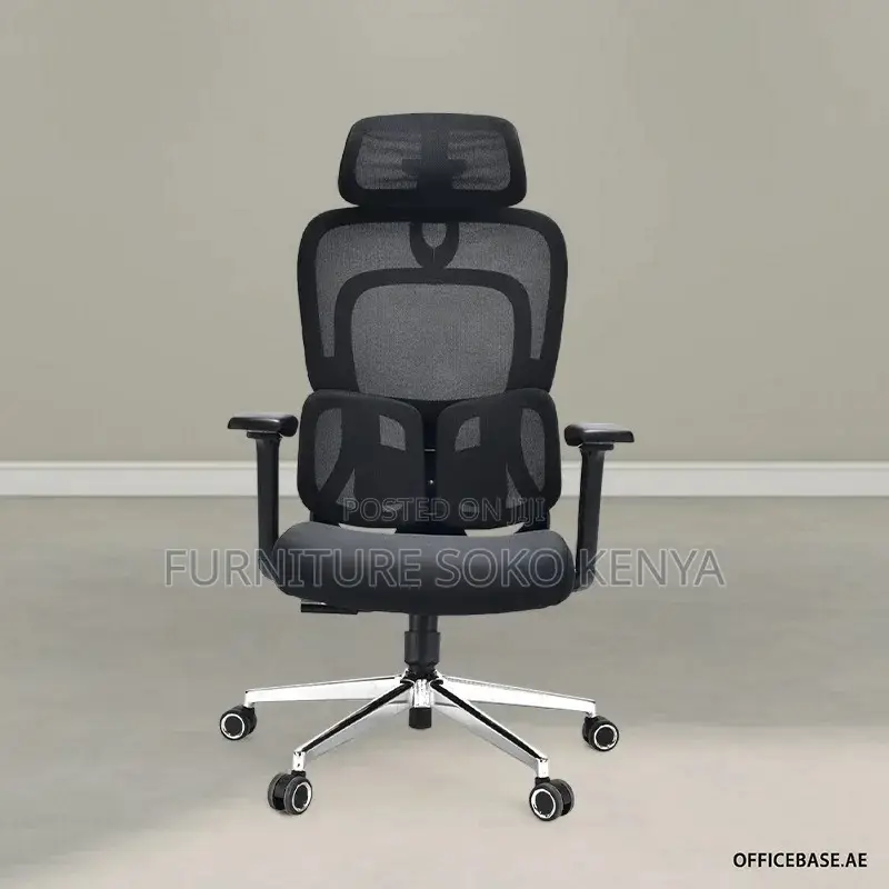 Orthopedic Chair : High-Back Ergonomic Mesh Office Chair