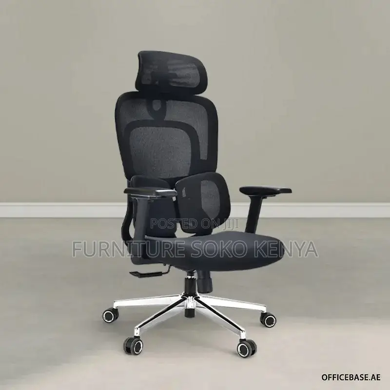 Orthopedic Chair : High-Back Ergonomic Mesh Office Chair