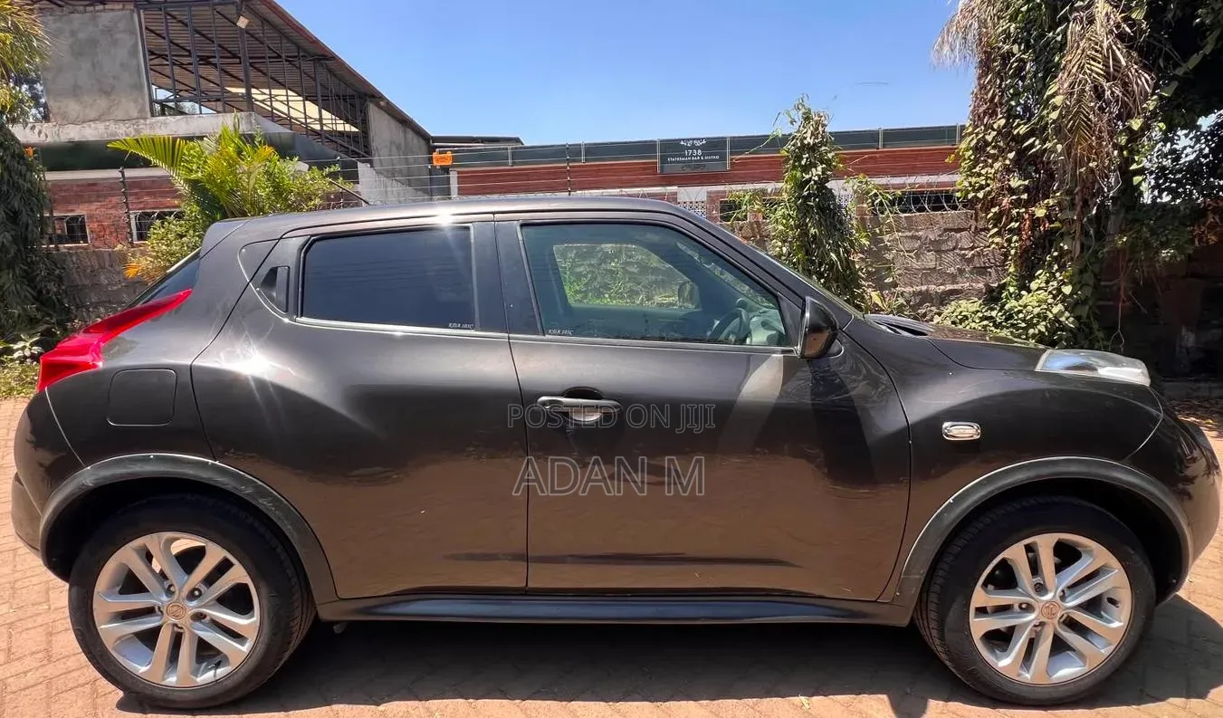 Nissan Juke 2013 Gray