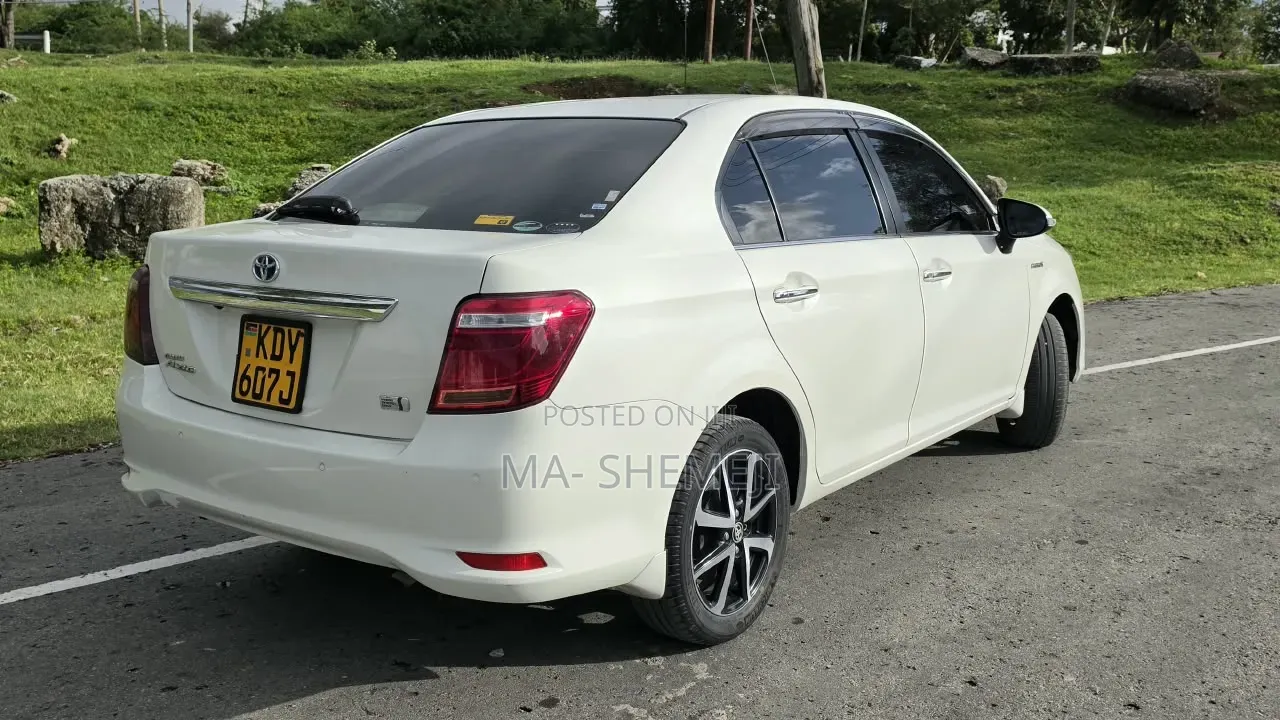 Toyota Axio 2019 Pearl