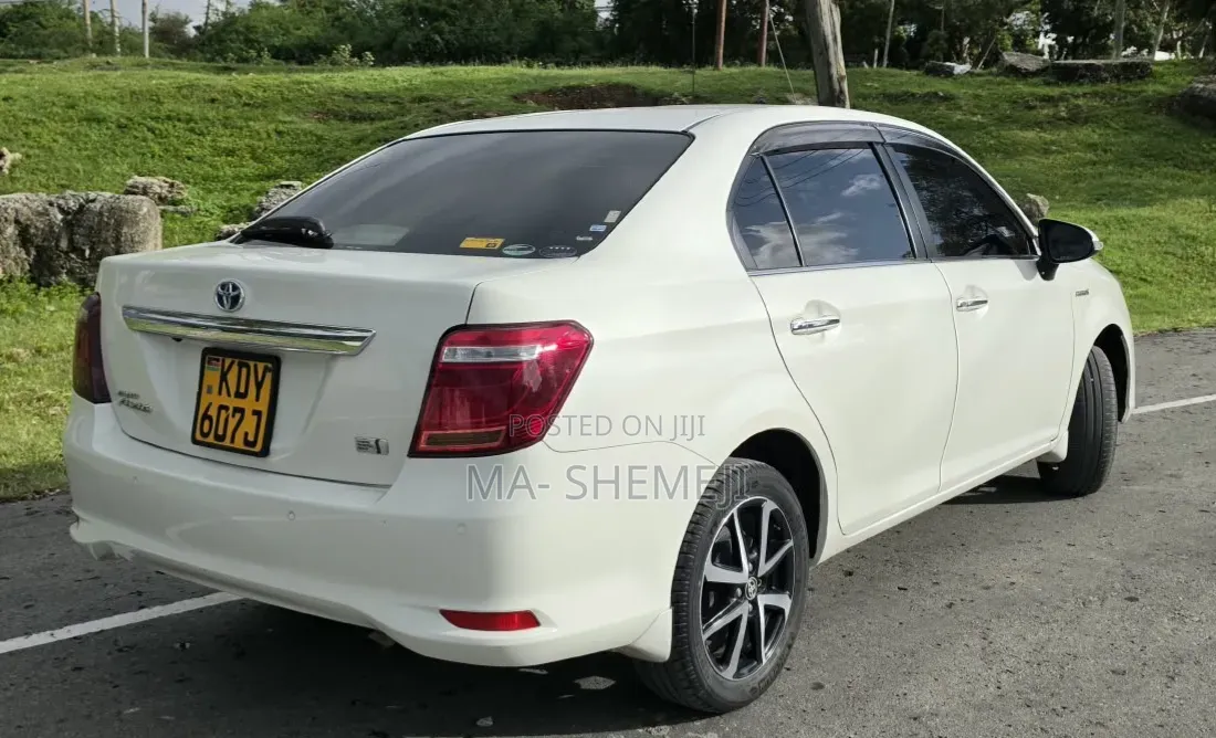 Toyota Axio 2019 Pearl