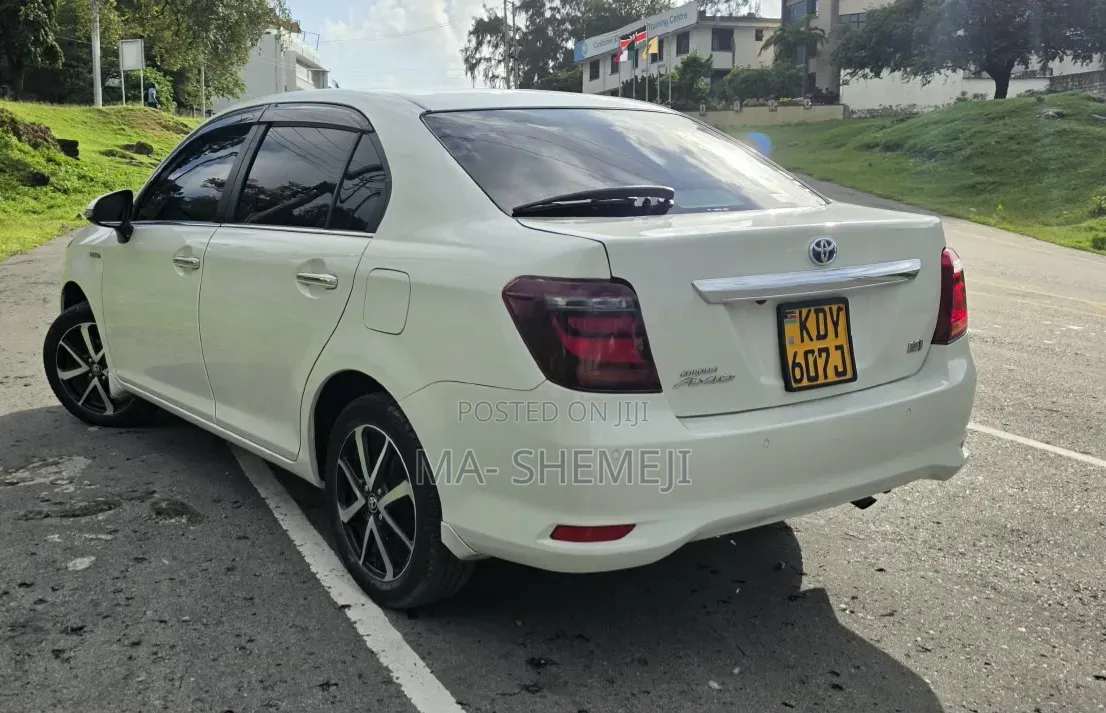 Toyota Axio 2019 Pearl