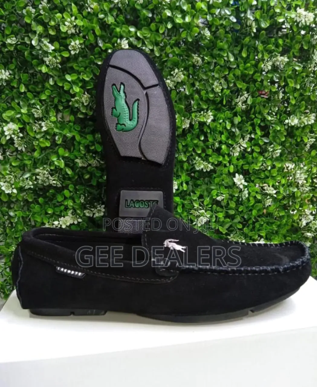 Suede Loafers, Lacoste Loafers,tod's