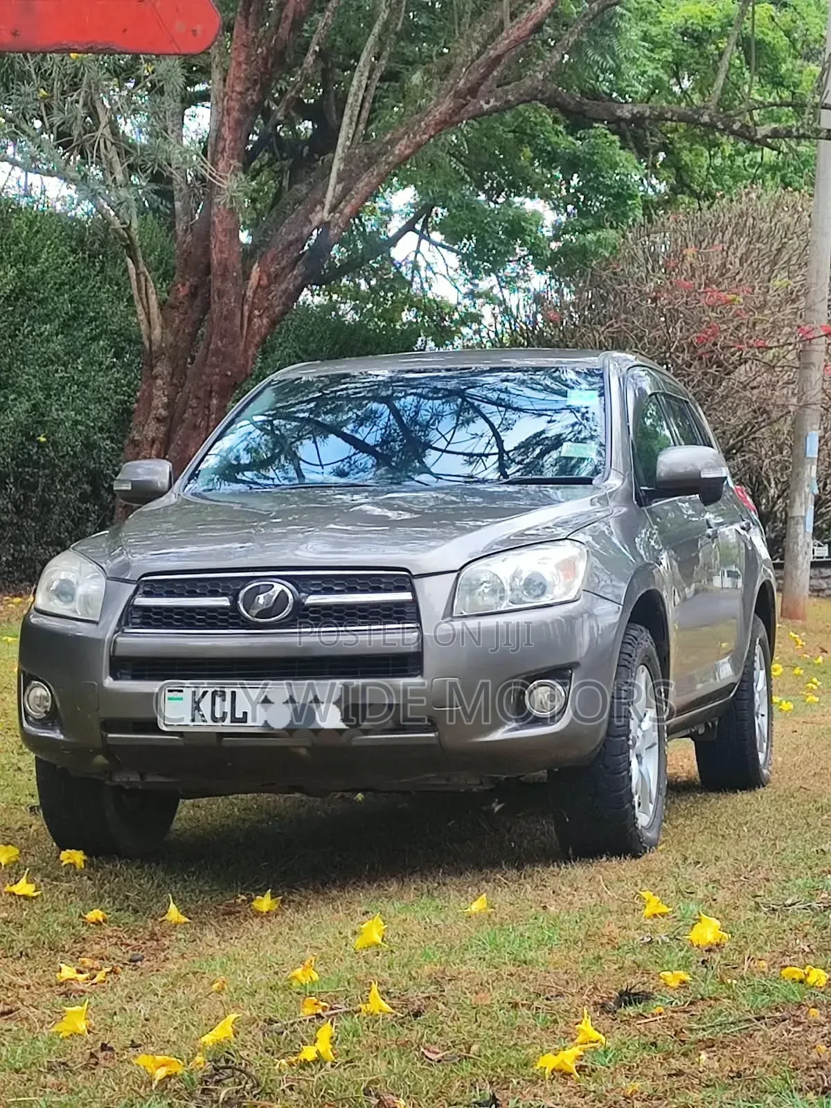 Toyota RAV4 2010 Gray