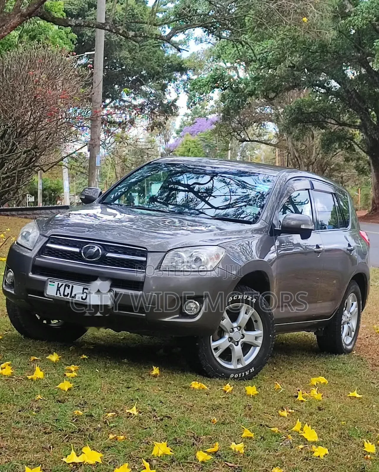 Toyota RAV4 2010 Gray