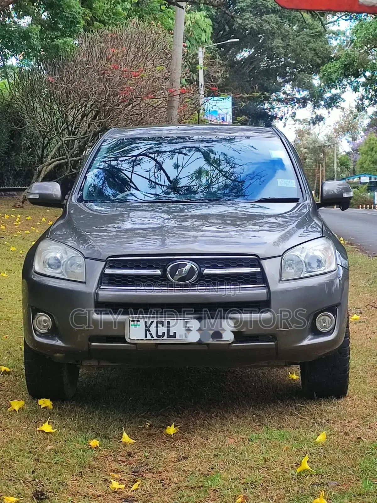 Toyota RAV4 2010 Gray