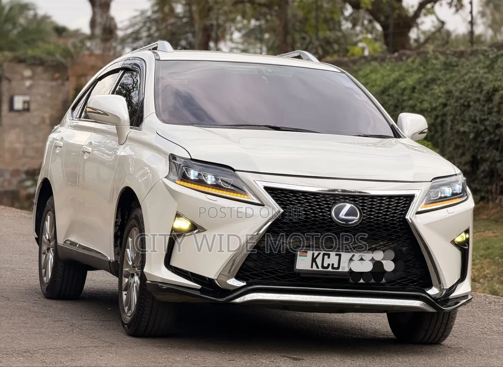 Lexus RX 2010 White