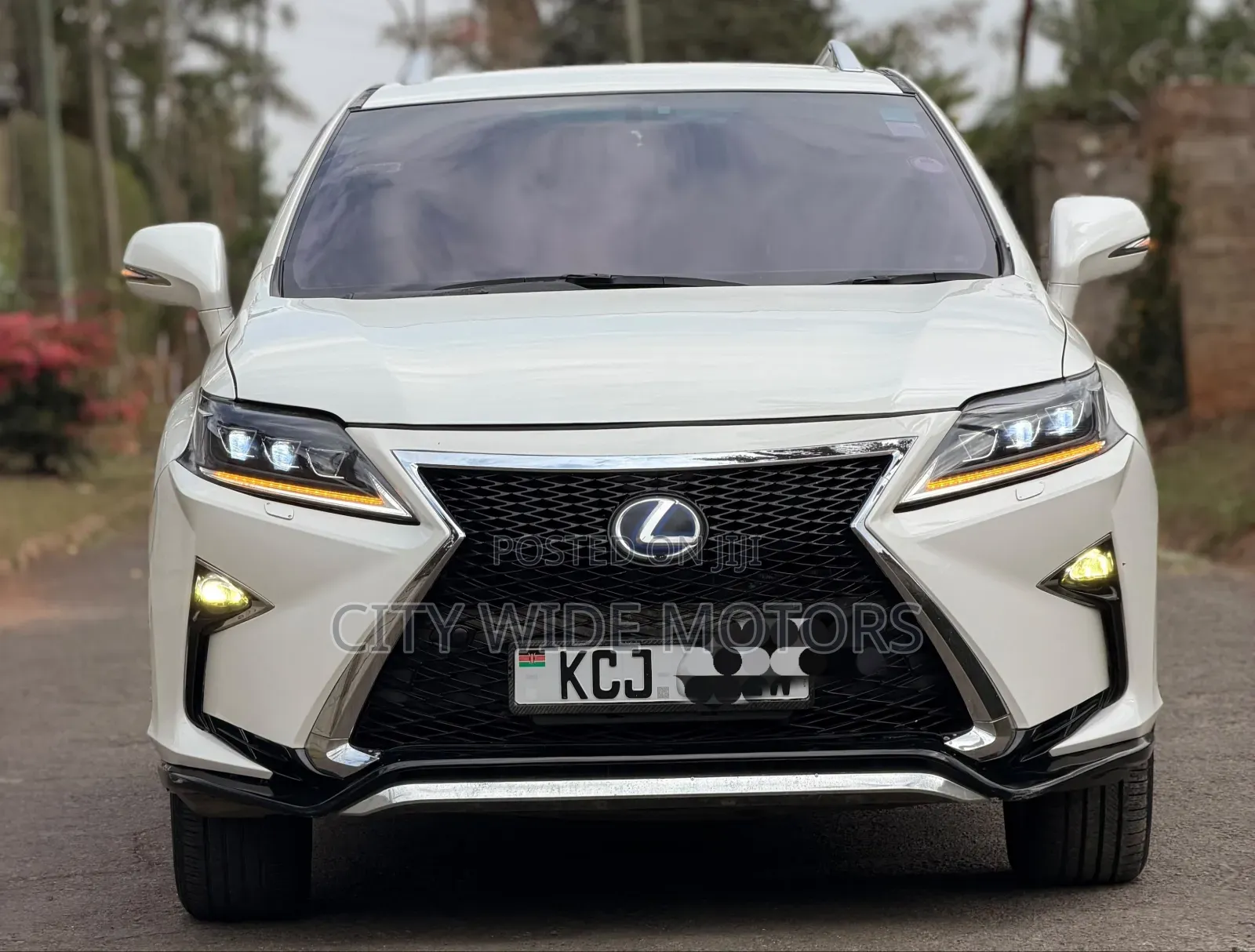 Lexus RX 2010 White