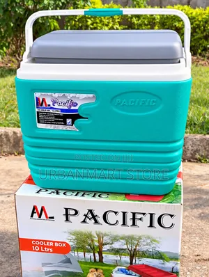 10L Compact Ice Cooler Box for Outdoor Refreshments