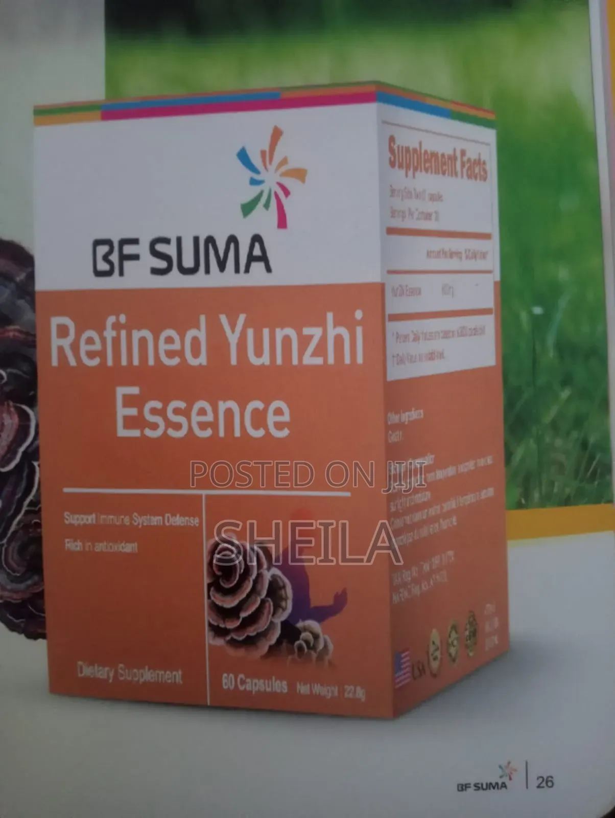 Refined Yunzhi
