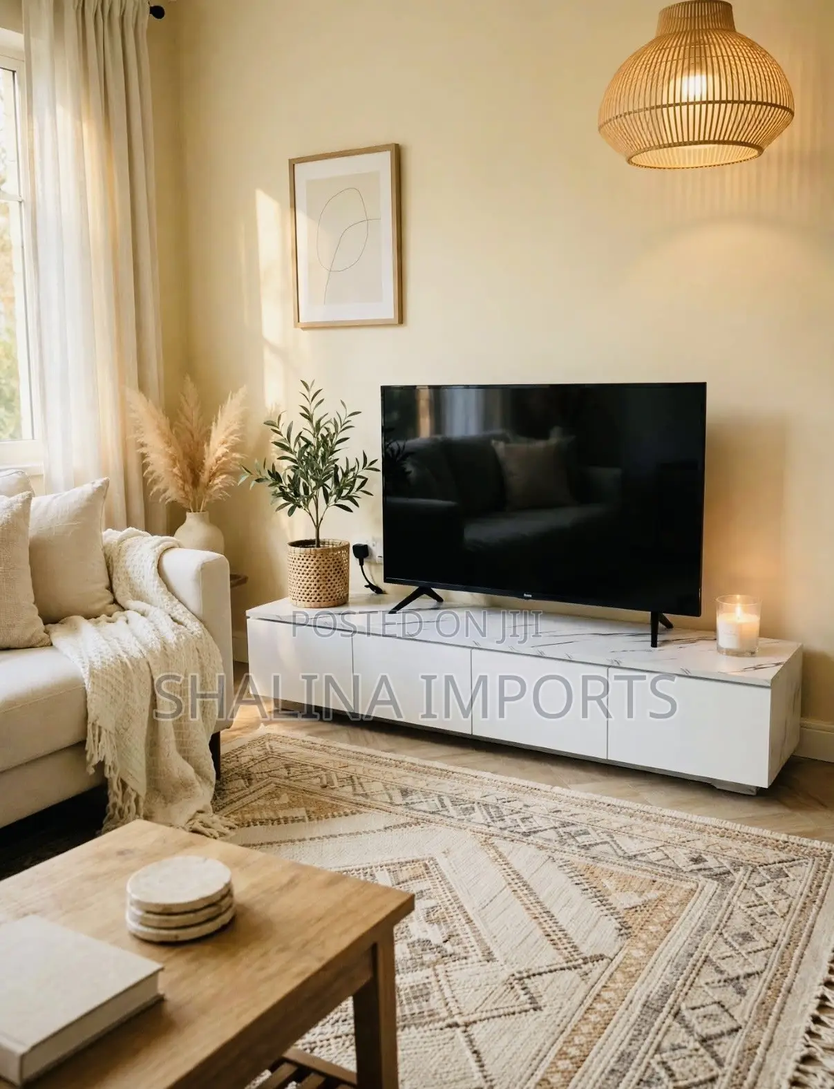 Modern Imported TV Stand