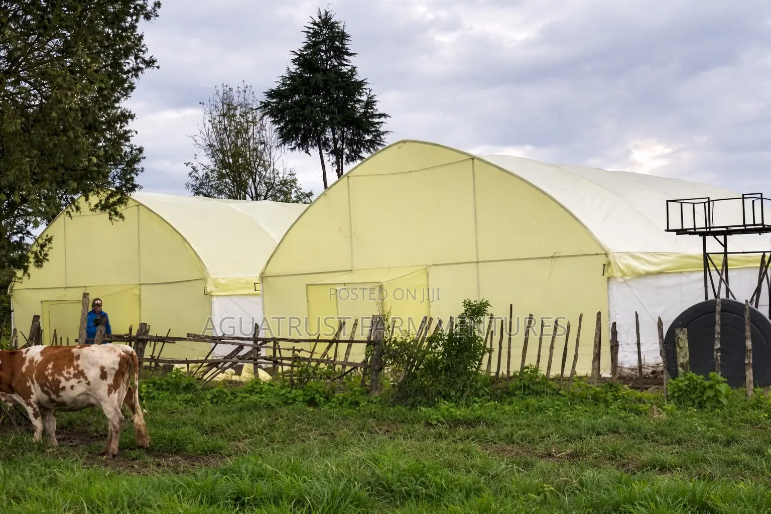 Greenhouse Installation