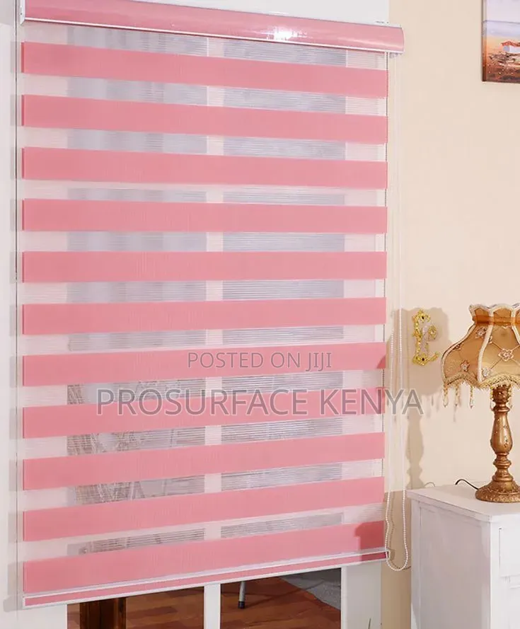 Zebra Blinds for Modern Living Room Windows
