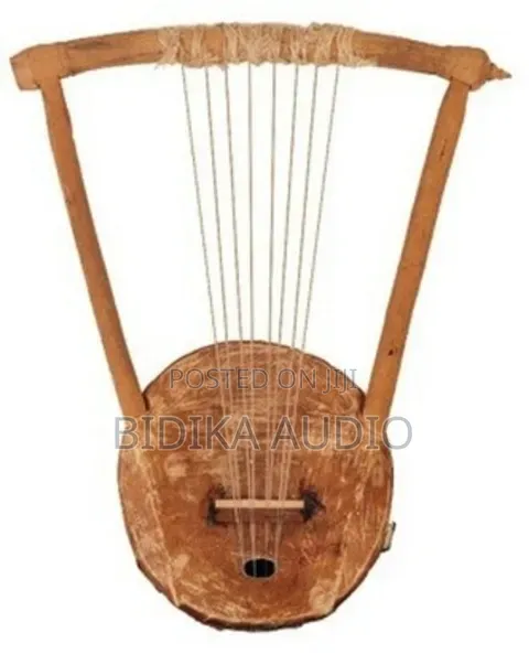 Nyatiti Instrument