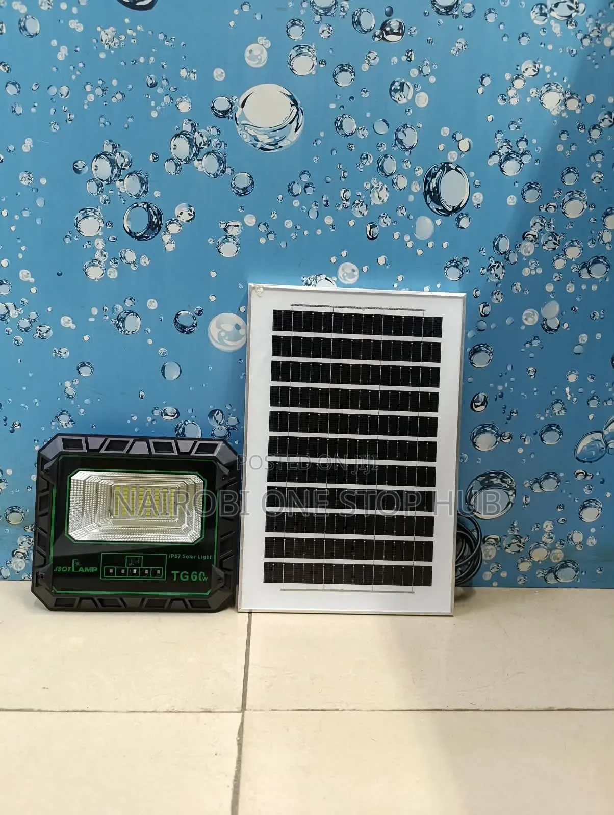TG 60W Solar Floodlight