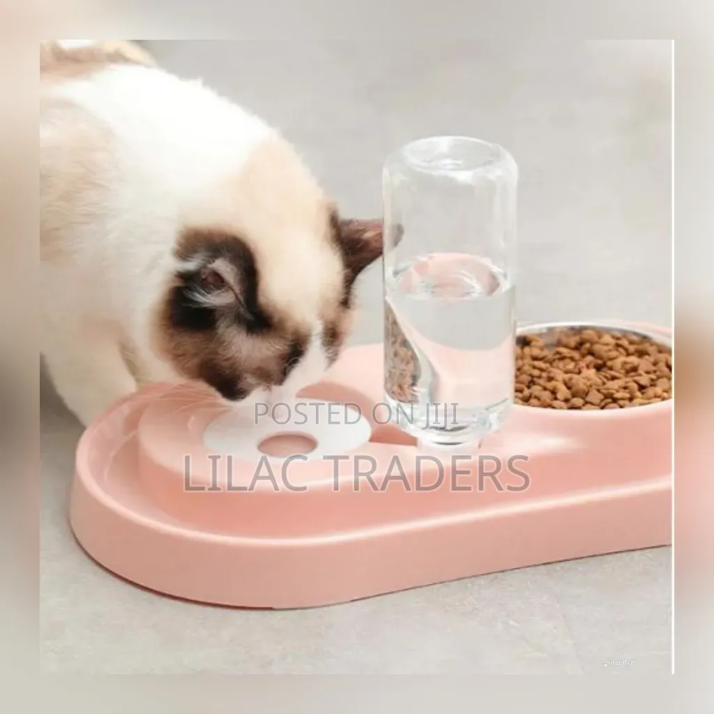 Portable Pet Food and Water Bowl for Cats & Small Dogs Galo
