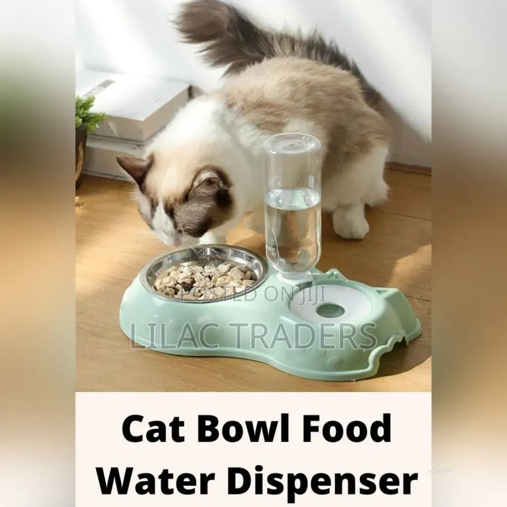 500ml Automatic Pet Water Dispenser and Feeding Bowl Galo