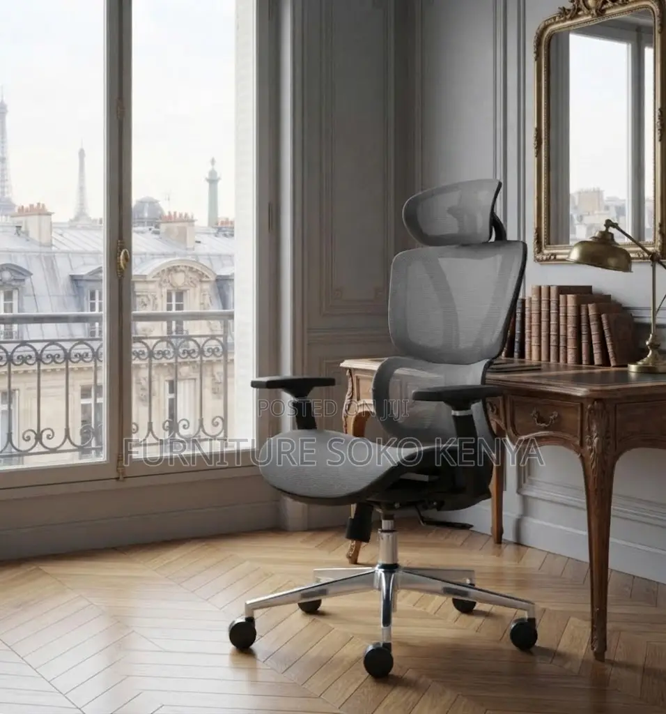 Executive Orthopedic Chairs | High Back Mesh Reclining Seat