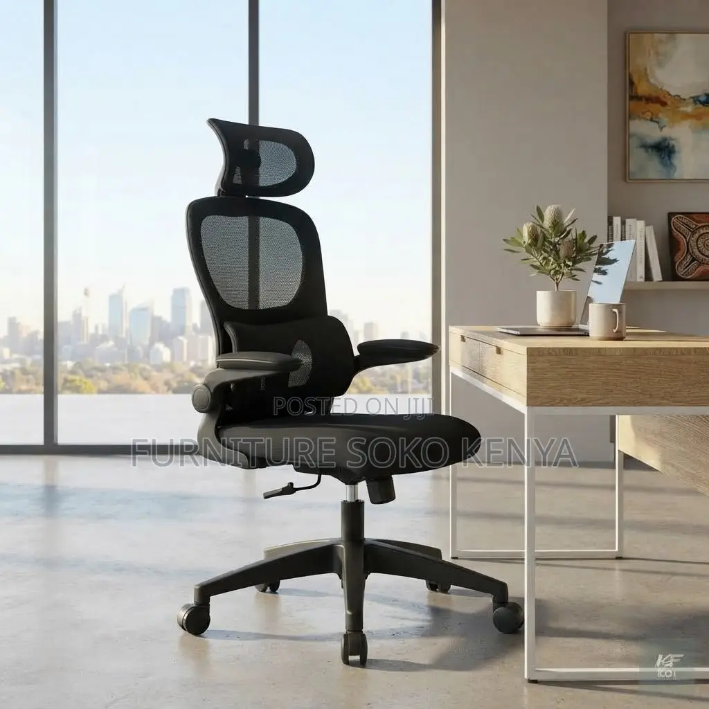 Executive Chairs | Orthopedic Modern Home Office Seat