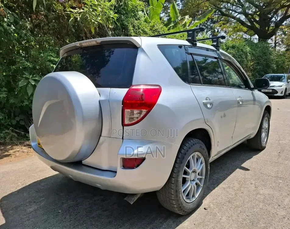 Toyota RAV4 2007 Silver
