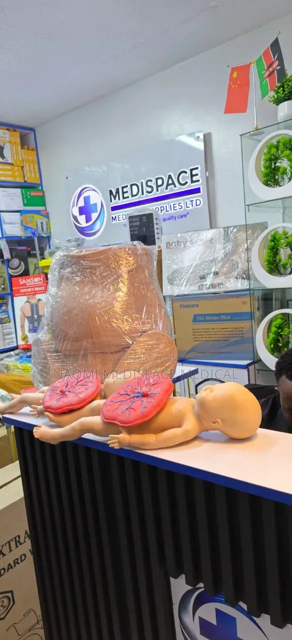 Realistic Training Gynecological Delivery Manikin With Twins