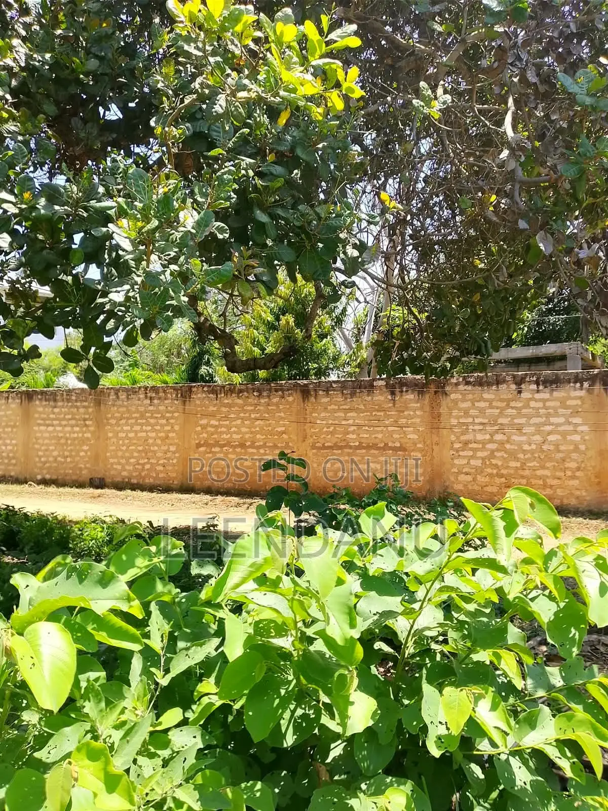 1/8 Plot for Sale