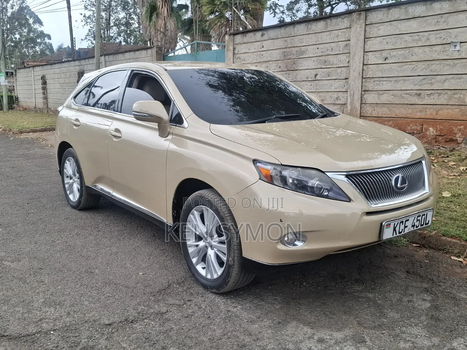 Lexus RX 400h 2009 Brown