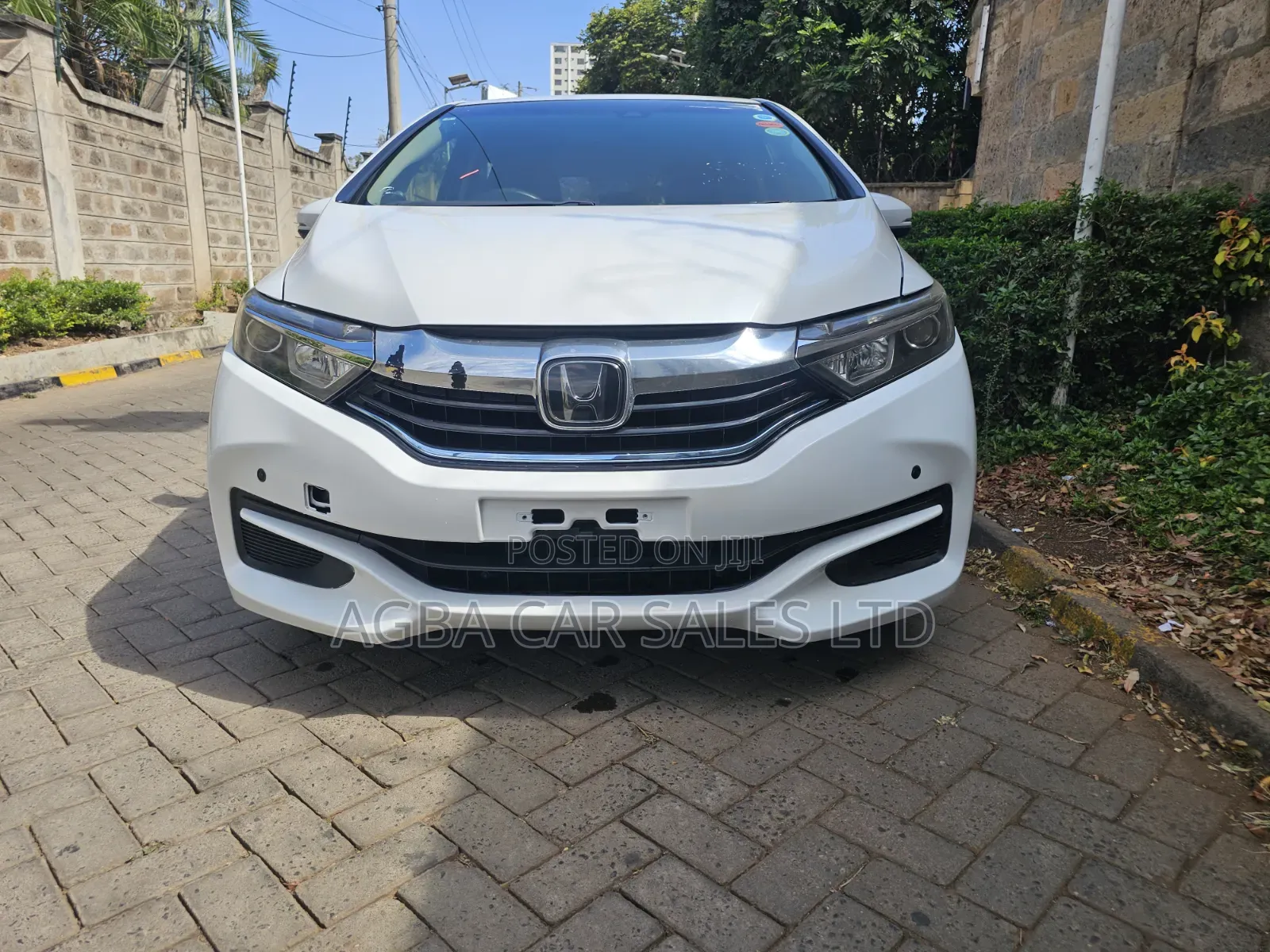 Honda Fit Shuttle 2019 Pearl