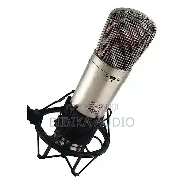 Behringer B2Pro Condenser Microphone