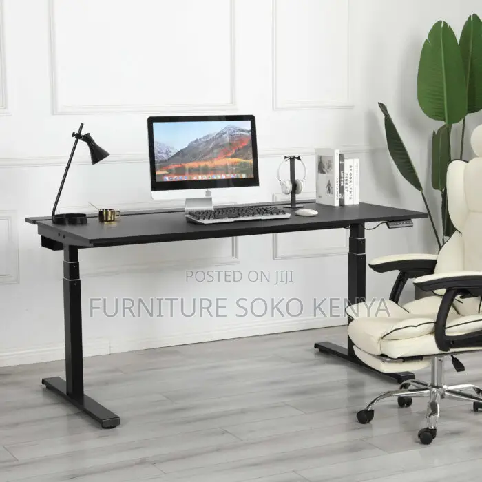 Desk : 1.2M Motorized Electric Sit-Stand Office Desk