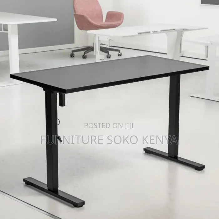 Desk : 1.2M Motorized Electric Sit-Stand Office Desk