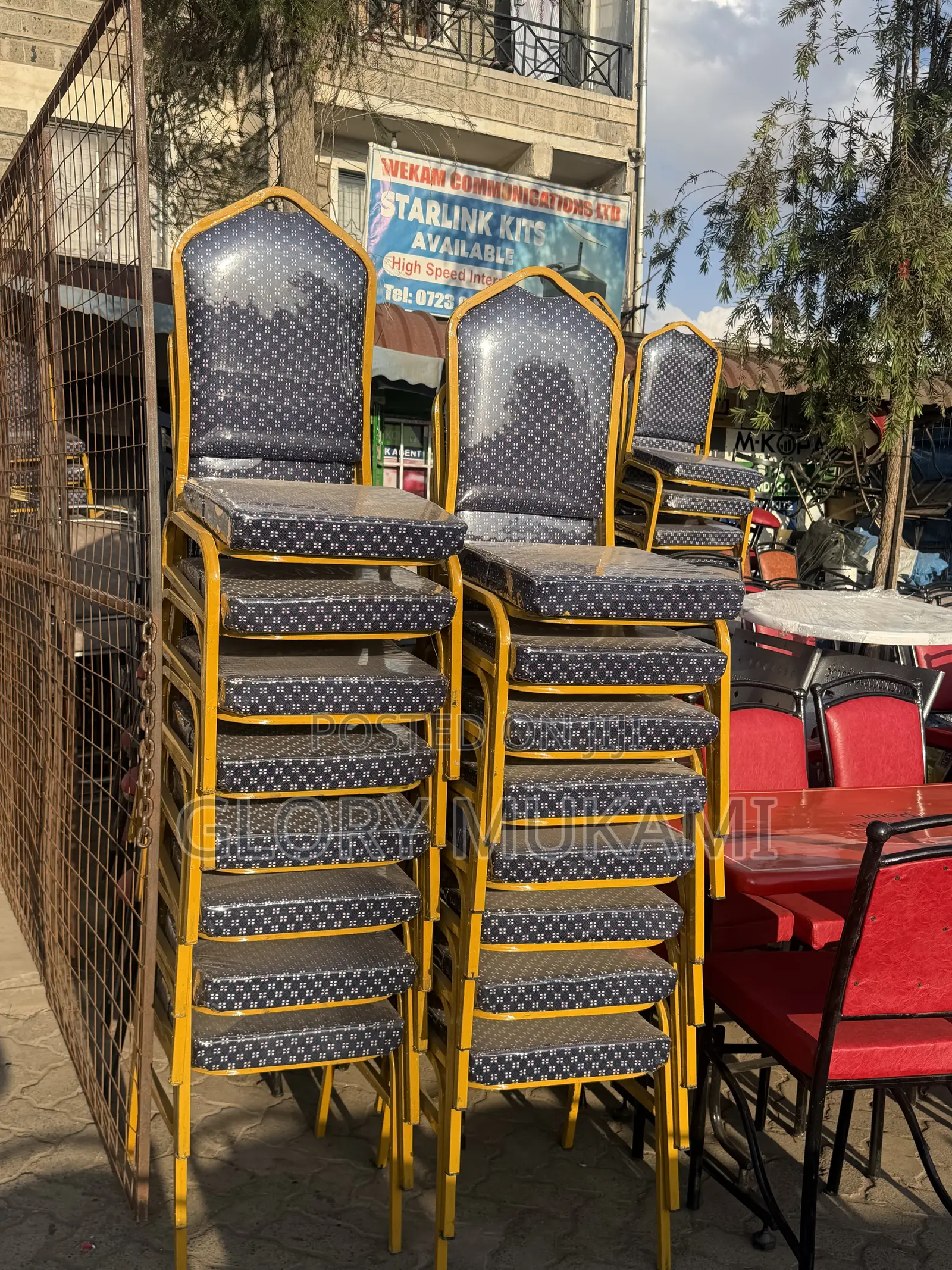 Blue Polythene Conference Chairs Gold Coated