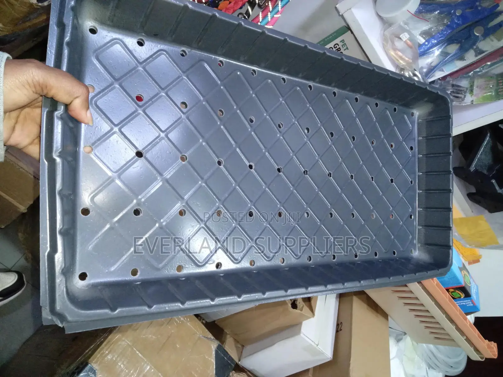 Microgreen Trays With Drainage Holes