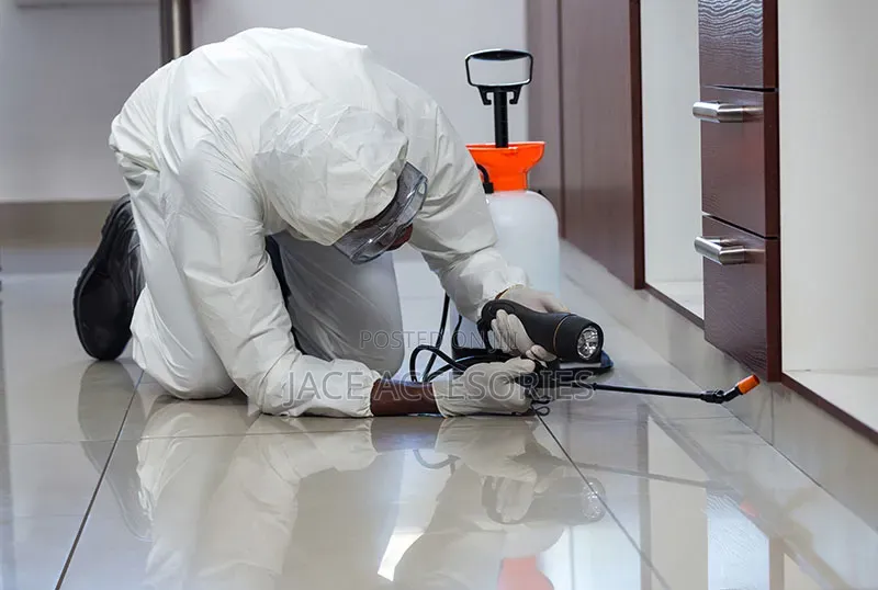 Fumigation Services