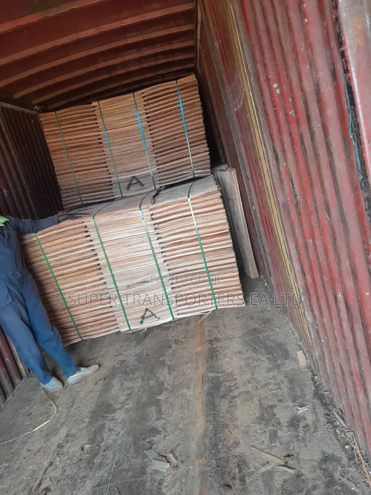 Looking for Reliable Transportation Company ,? Look No Further.
