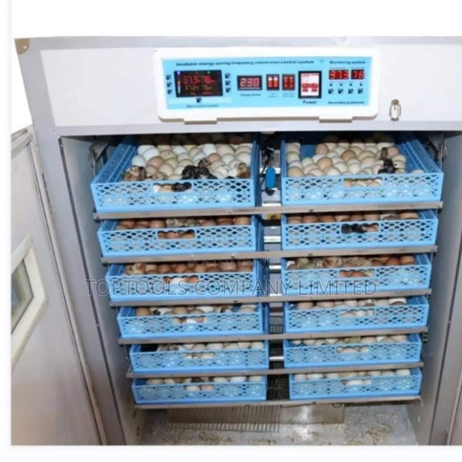 Egg Incubator 528eggs With Automatic Roller AC Dc