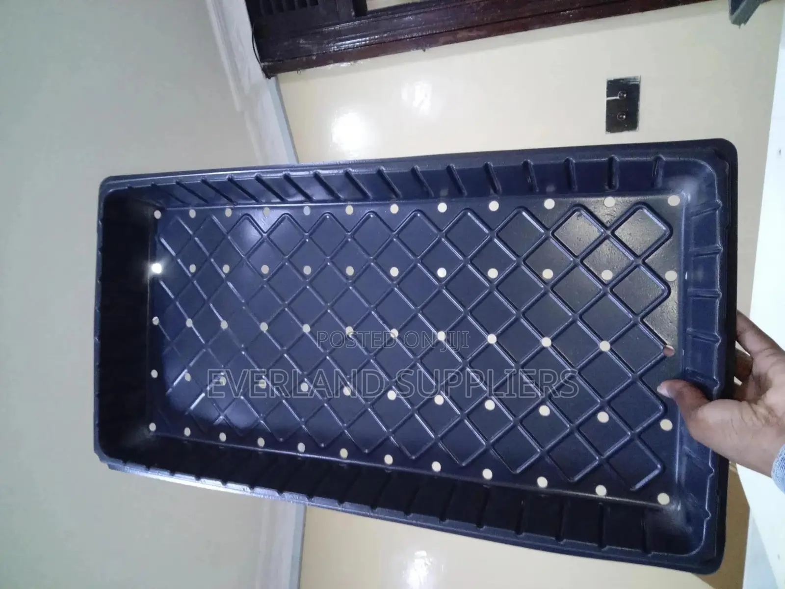Hydroponic Trays With Drainage Holes
