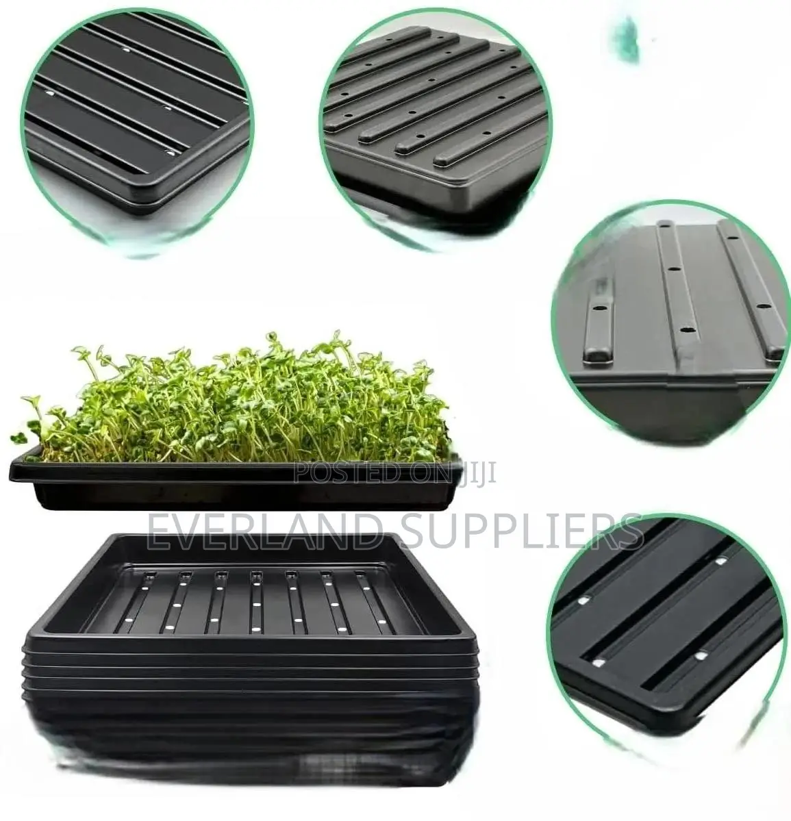 Slotted Hydroponic Growing Trays - With Holes