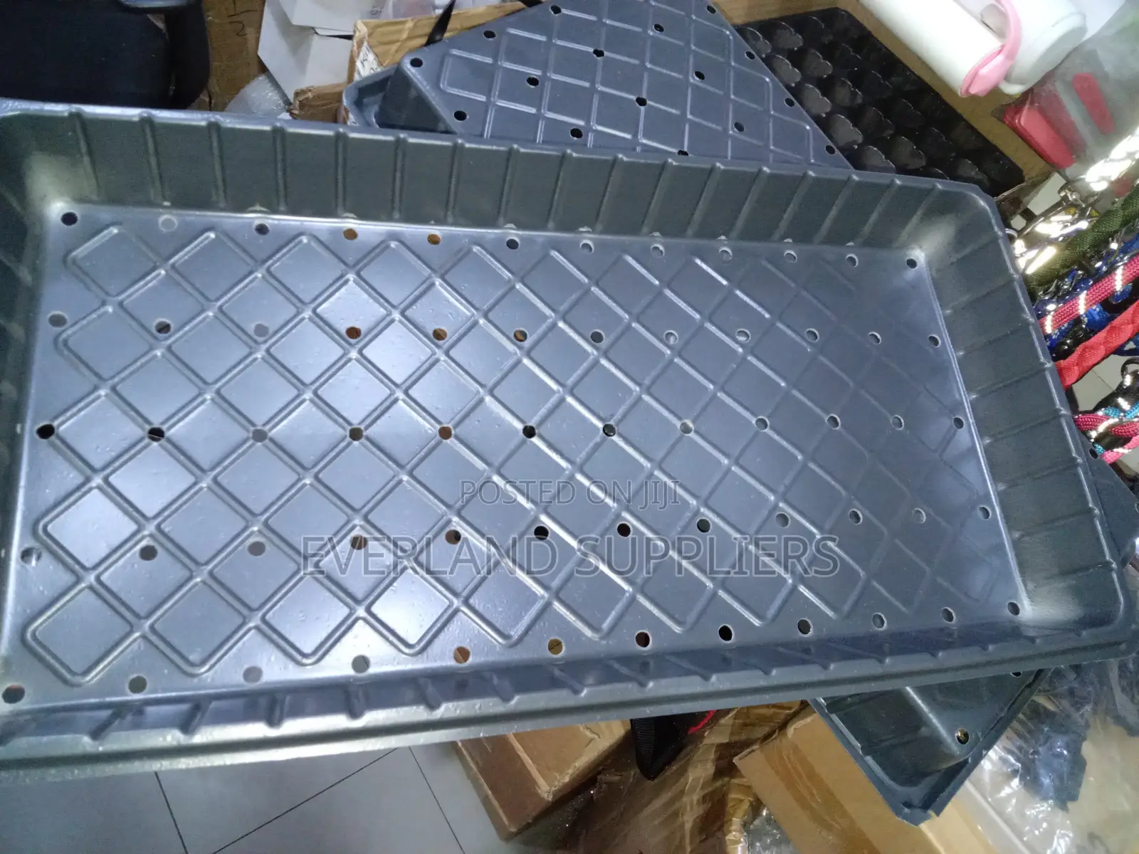 All-Over Perforated Growing Trays - With Holes