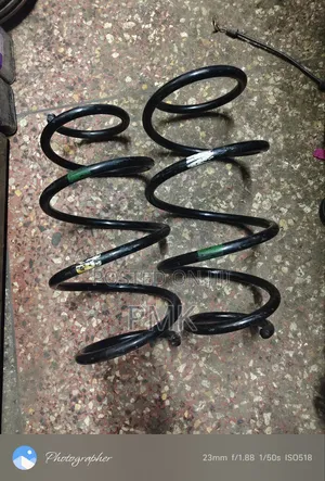 Toyota Vanguard/Rav Front Springs