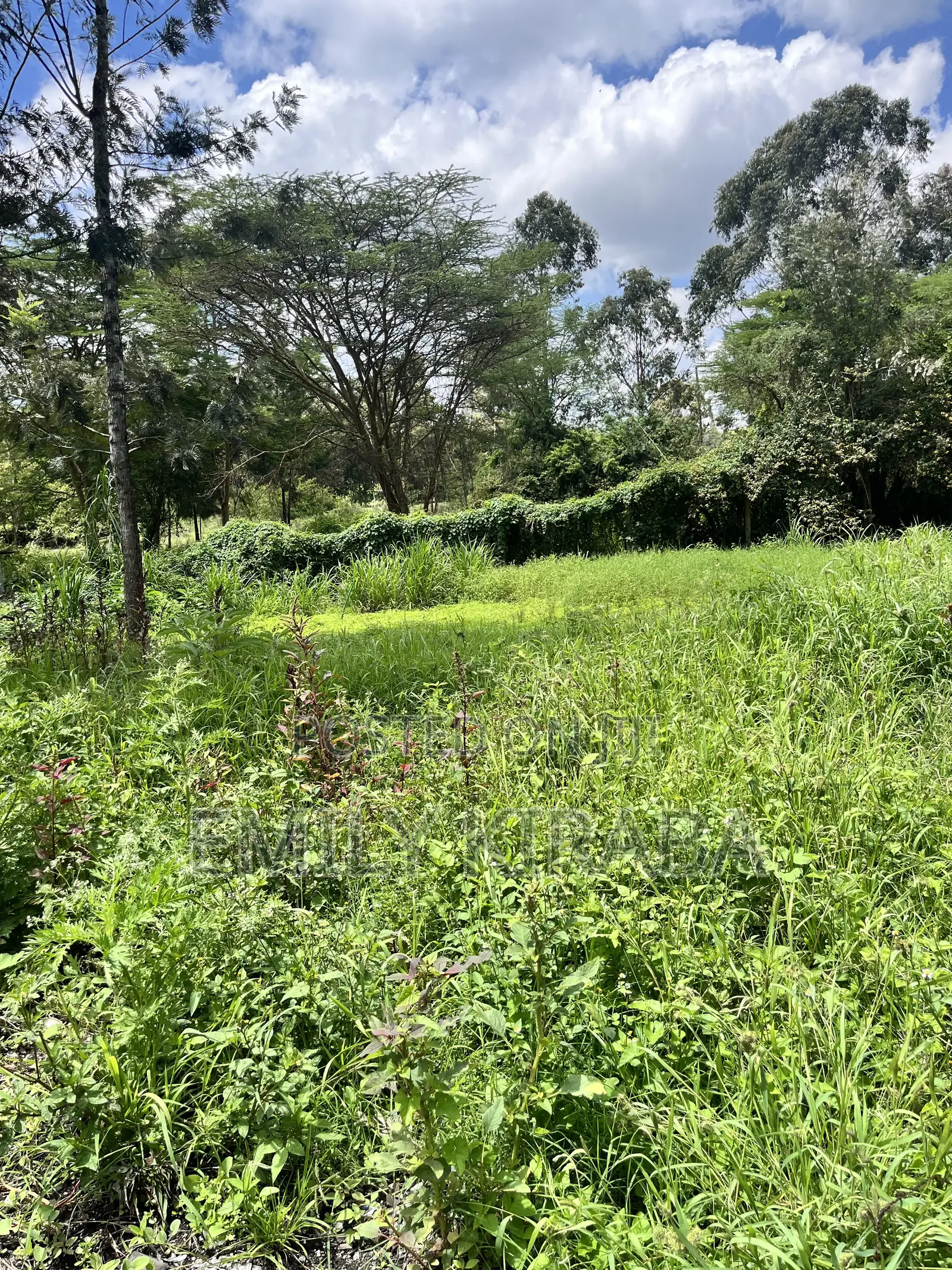 0.37 Acre Land Bordering Lenana School, Riruta | Freehold Title