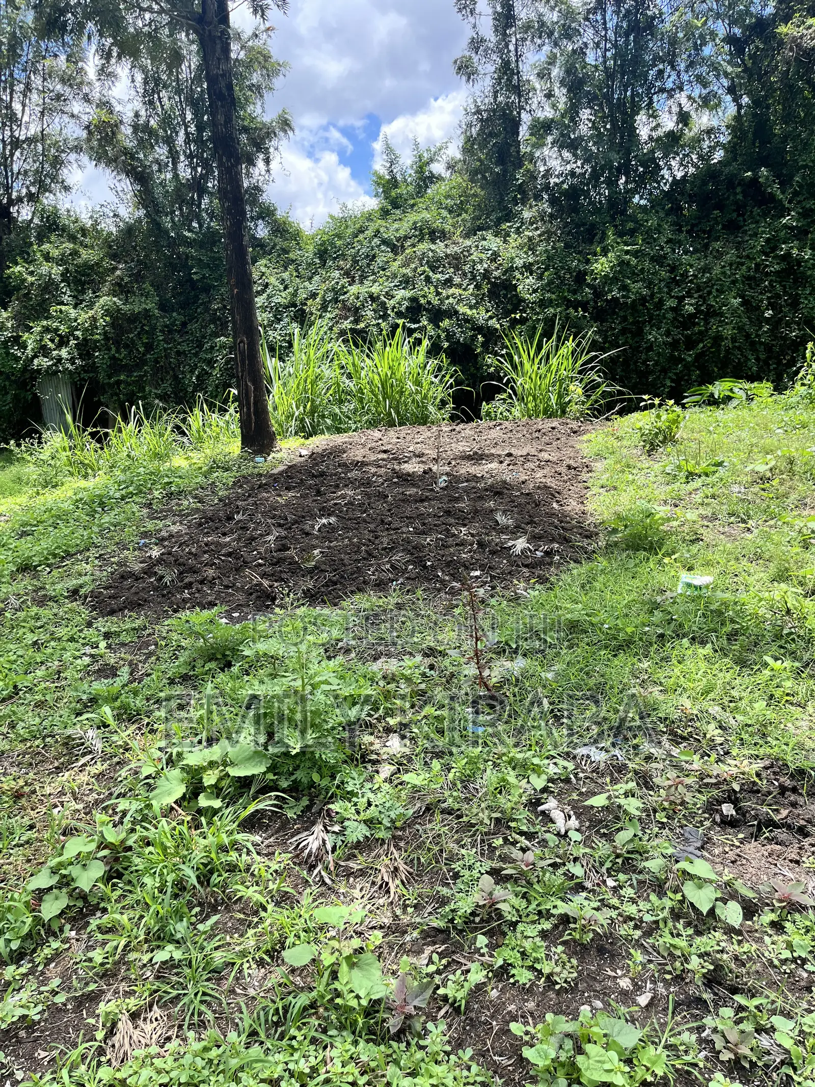 0.37 Acre Land Bordering Lenana School, Riruta | Freehold Title