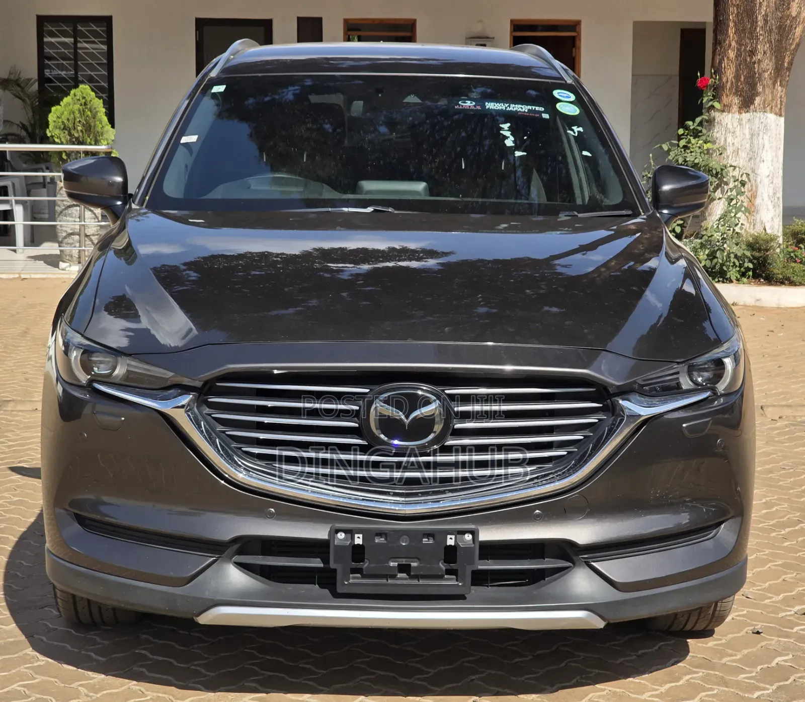 Mazda CX-8 2.2 AWD (6 seater) 2019 Brown